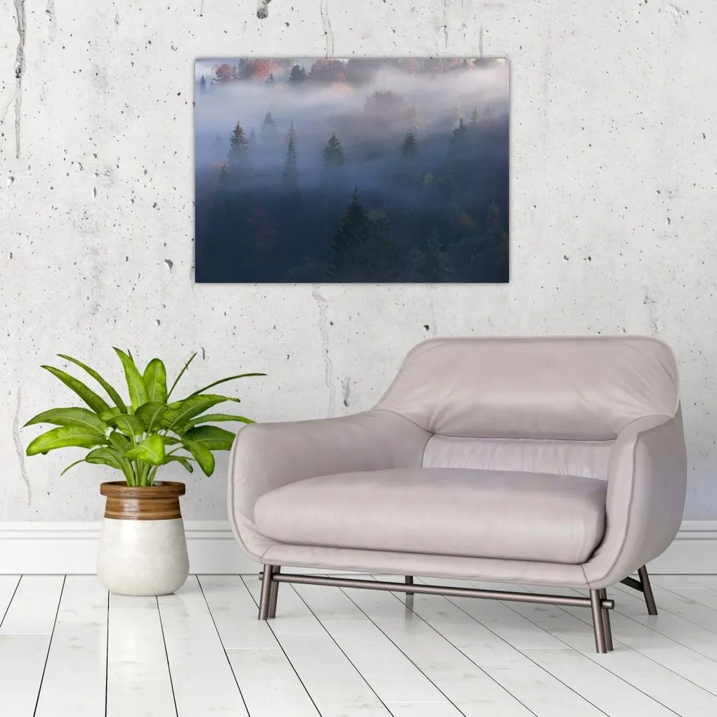 Tablou - Pădure în ceță, Carpați, Ucraina (70x50 cm)