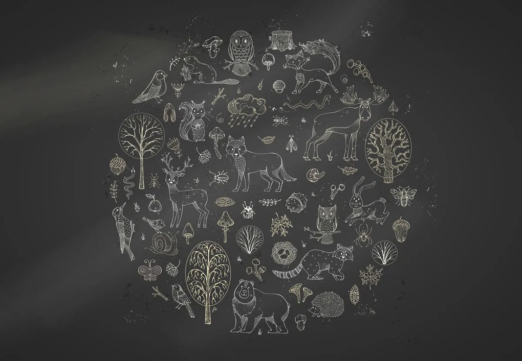 Fototapet - Natura (147x102 cm)
