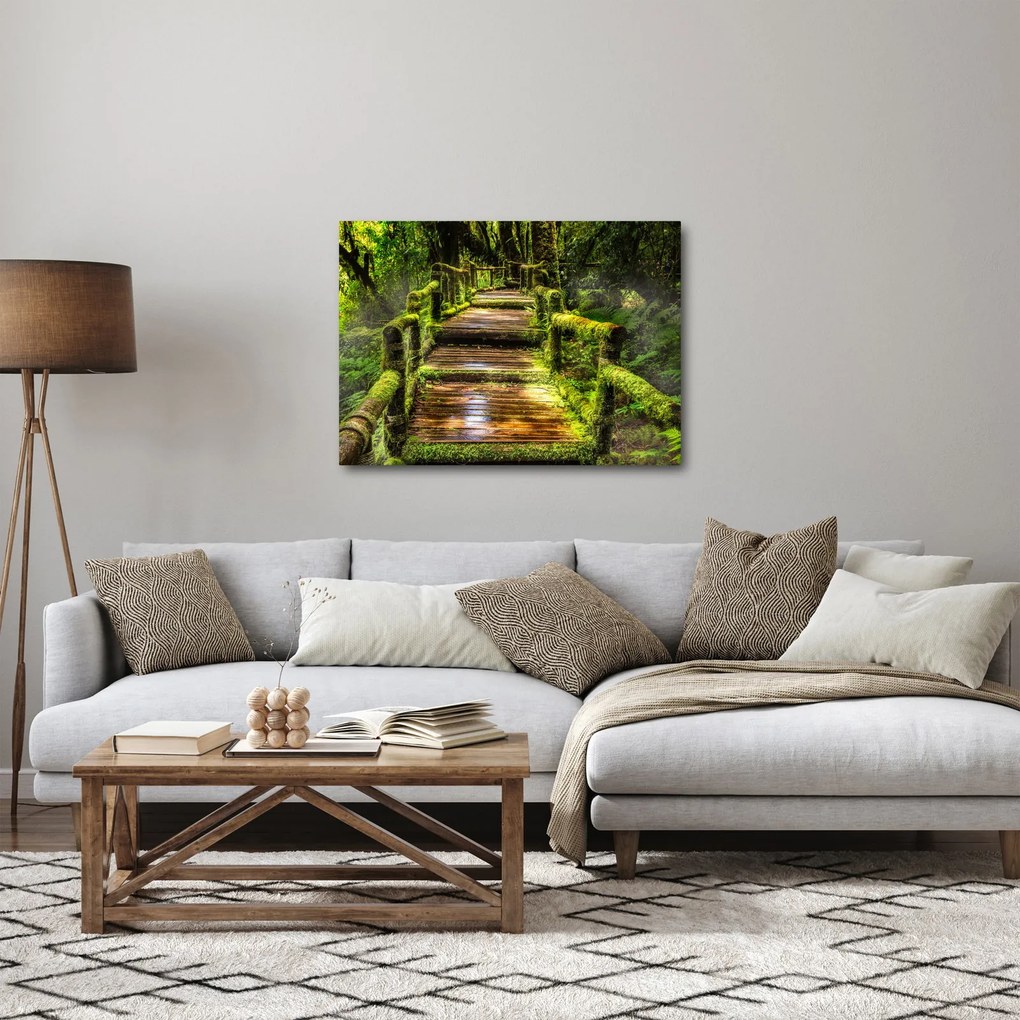 Tablou cu scări într-o pădure tropicală (70x50 cm)