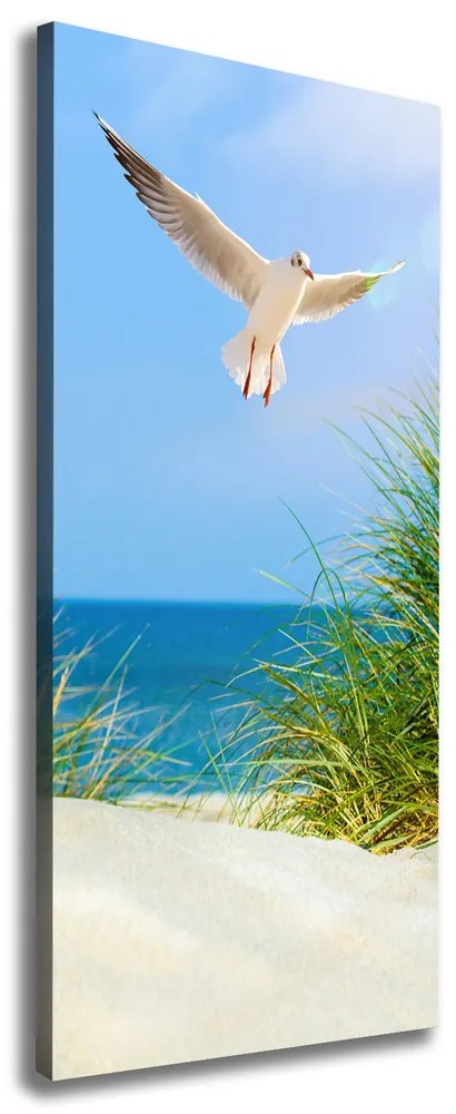 Imprimare tablou canvas Seagull peste dune