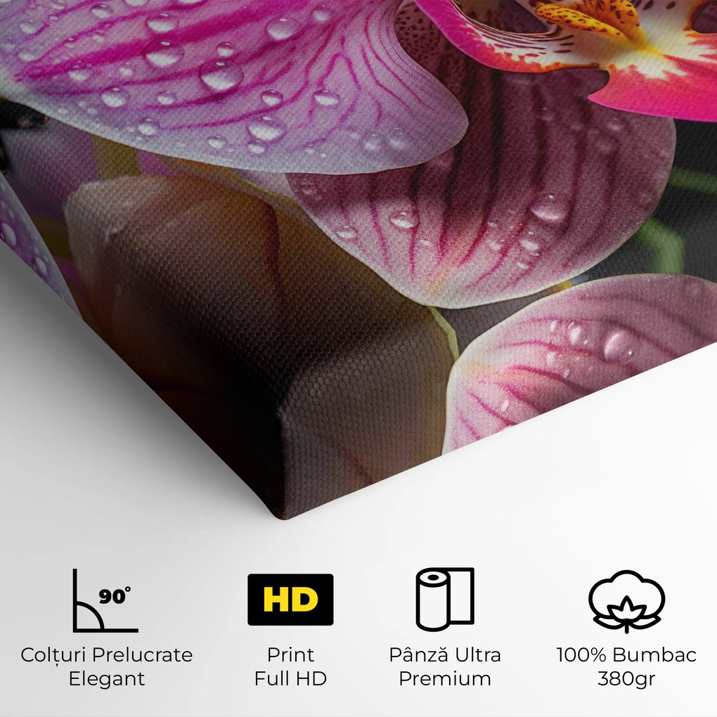 Tablou Canvas, 90x140cm, Dormitor si Living, Flori, Orhidee, Pretty Orchid After Rain