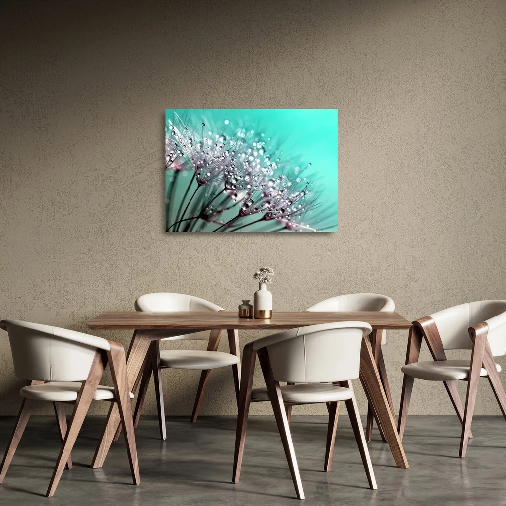 Tablou pe sticlă - planta cu rouă (70x50 cm)