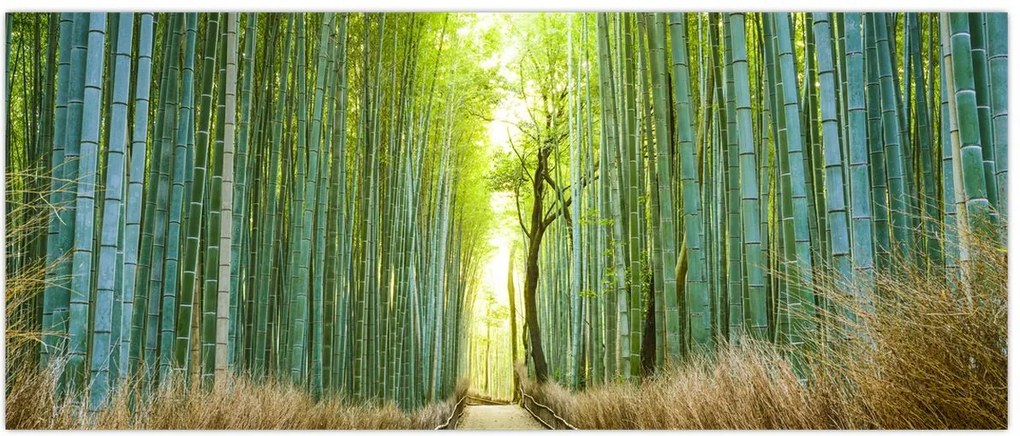 Tablou - Pădure de bambus (120x50 cm)