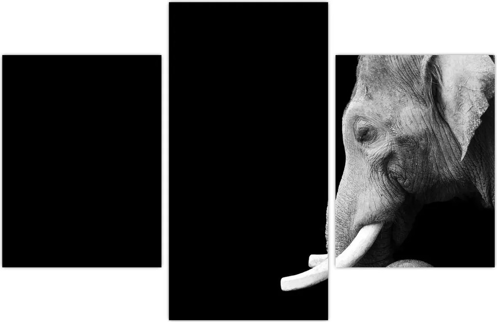 Tablou - Elefant (90x60 cm)