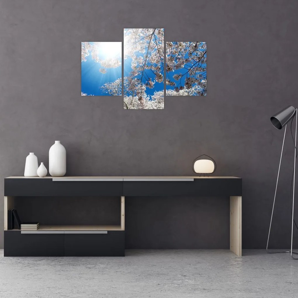 Tablou - Flori de cireș (90x60 cm)