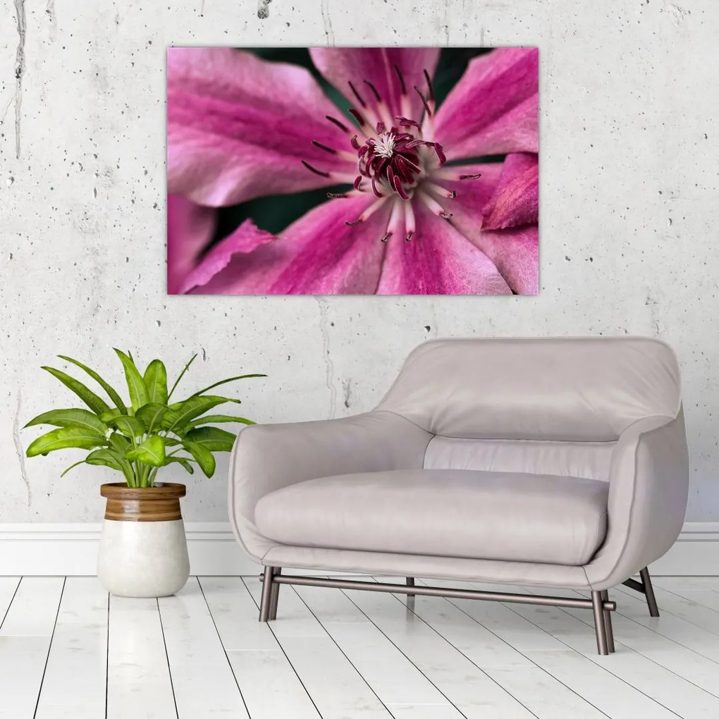 Tablou cu floarea roz de clematis (90x60 cm)