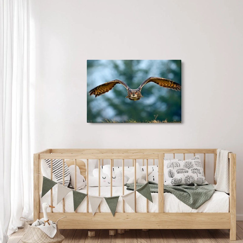 Tablou -Bufnita în zbor (90x60 cm)