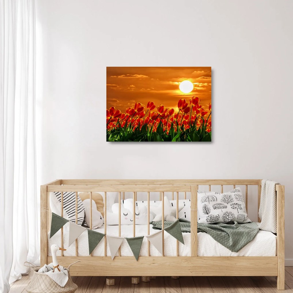Tablou pe sticlă - lan înflorit de lalele (70x50 cm)