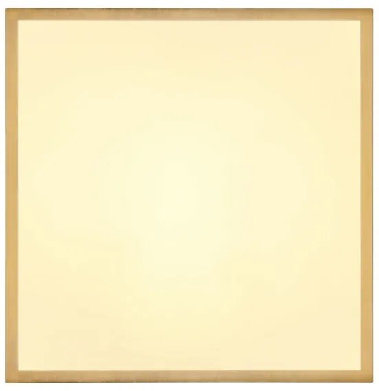 Plafonieră LED TIBEY LED/22W/230V 35x35 cm Globo 12382-22