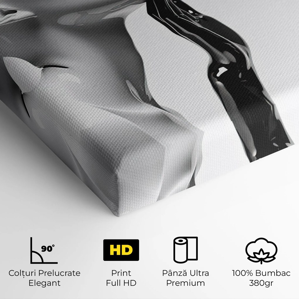 Tablou Canvas, 30x40cm, Dormitor si Living, Moderne, Alb negru, Feminine Sculpture