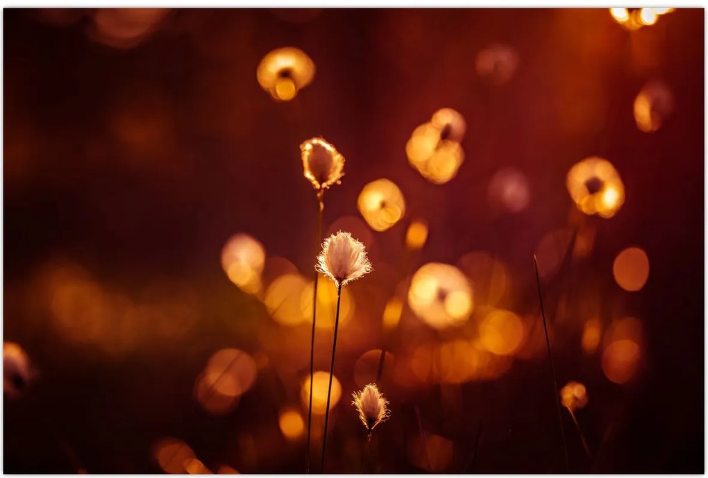 Tablou - Dimineața (90x60 cm)