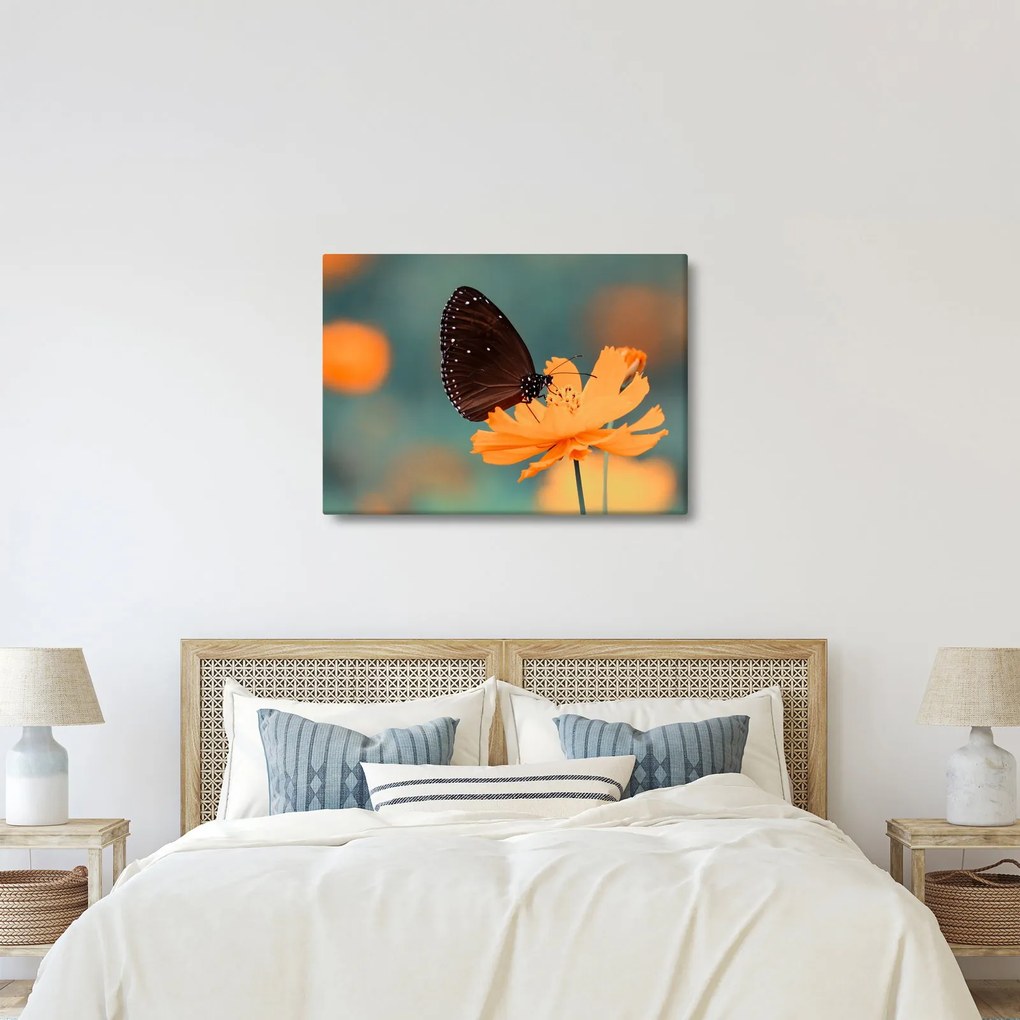 Tablou - fluture pe o floare portocalie (70x50 cm)