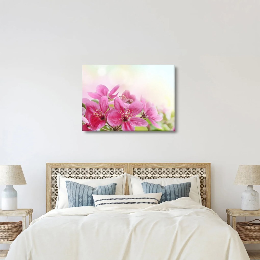 Tablou - Flori roz (70x50 cm)