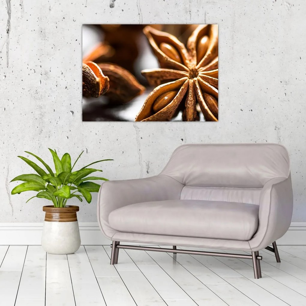 Tablou - Anason (70x50 cm)