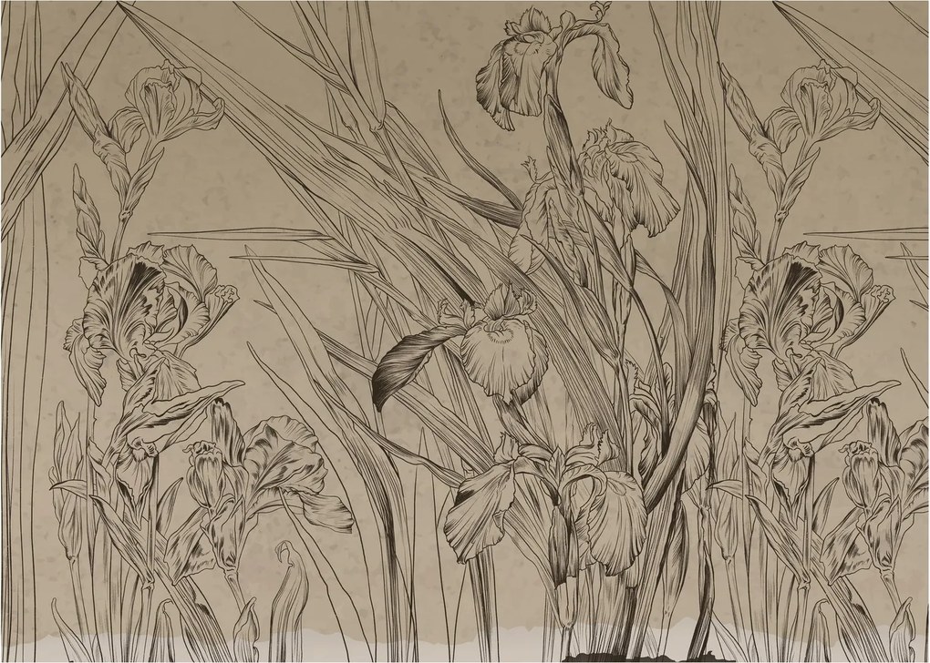 Tablou - Contururile plantelor (70x50 cm)