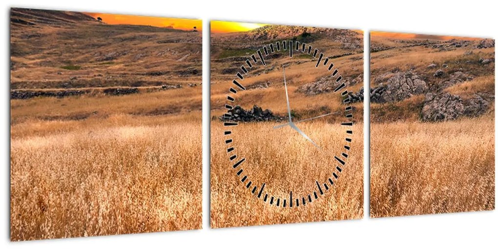 Tablou cu câmp (cu ceas) (90x30 cm)