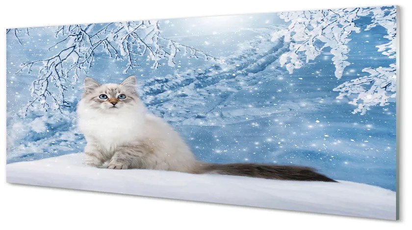 Tablouri acrilice pisică de iarnă