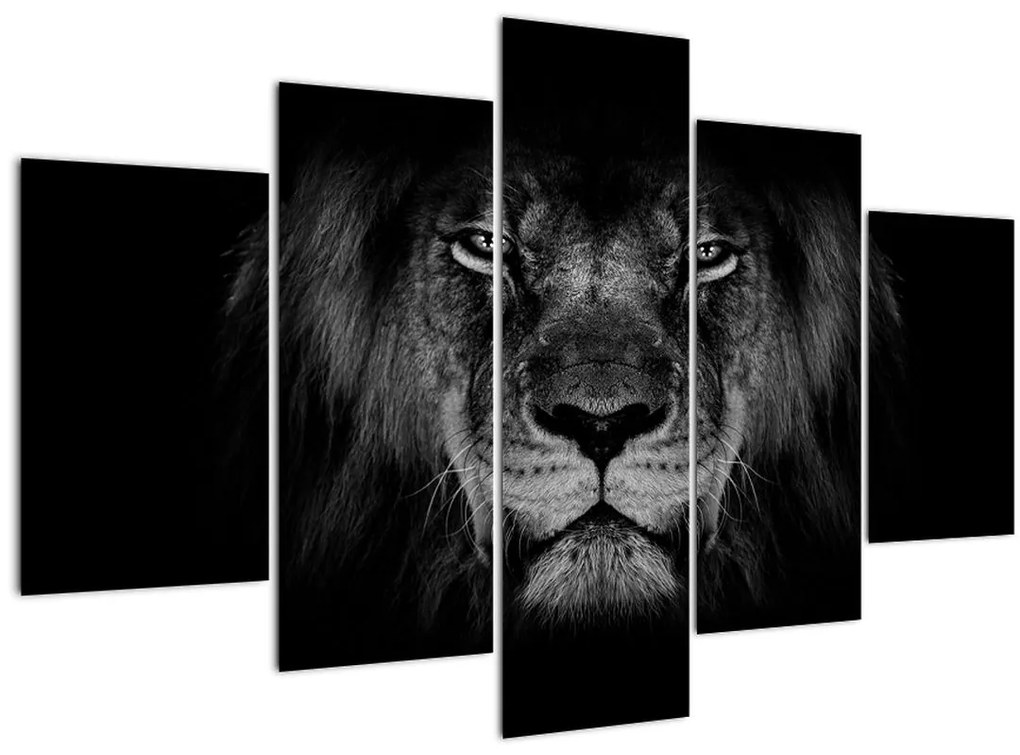 Tablou - Leu majestic (150x105 cm)