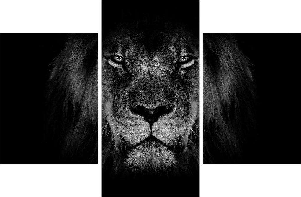 Tablou - Leu majestic (90x60 cm)