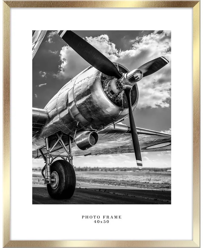 Ramă foto de perete Styler Floryda, 43 x 53 cm, auriu