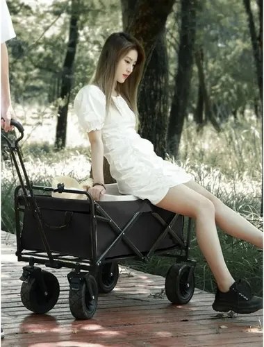 Cărucior pliabil pentru grădină și plajă 75 L