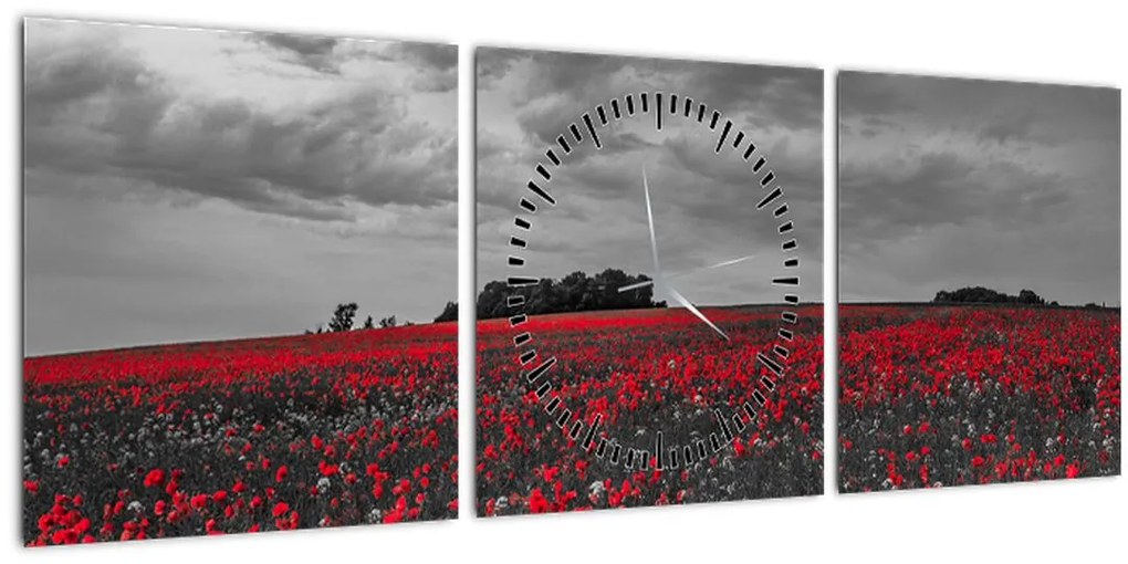 Tablou cu maci (cu ceas) (90x30 cm)