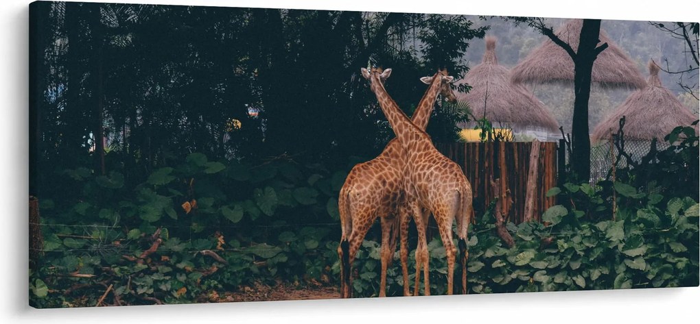 Tablou cu două girafe (120x50 cm)
