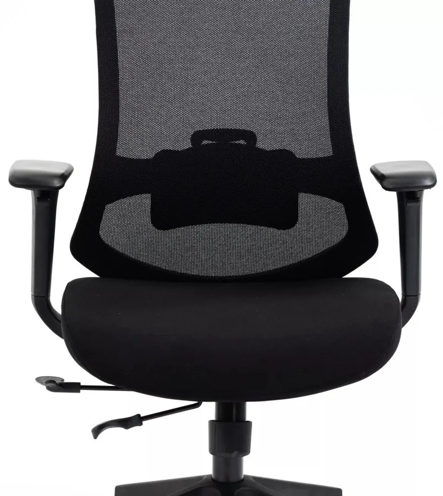 Scaun de birou Ergon negru