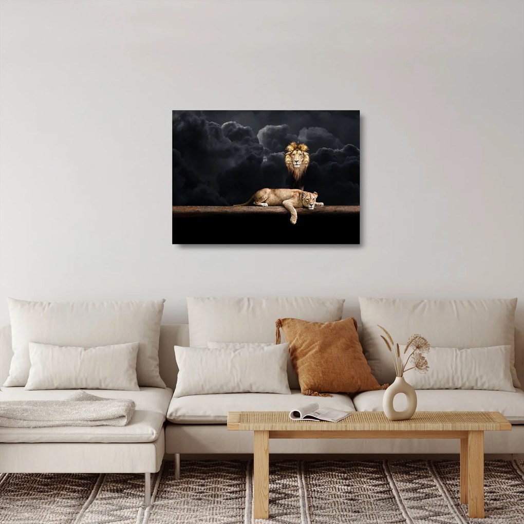 Tablou pe sticlă - Leu și leoaică (70x50 cm)