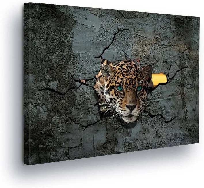 GLIX Tablou - Cheetah View II 80x60 cm