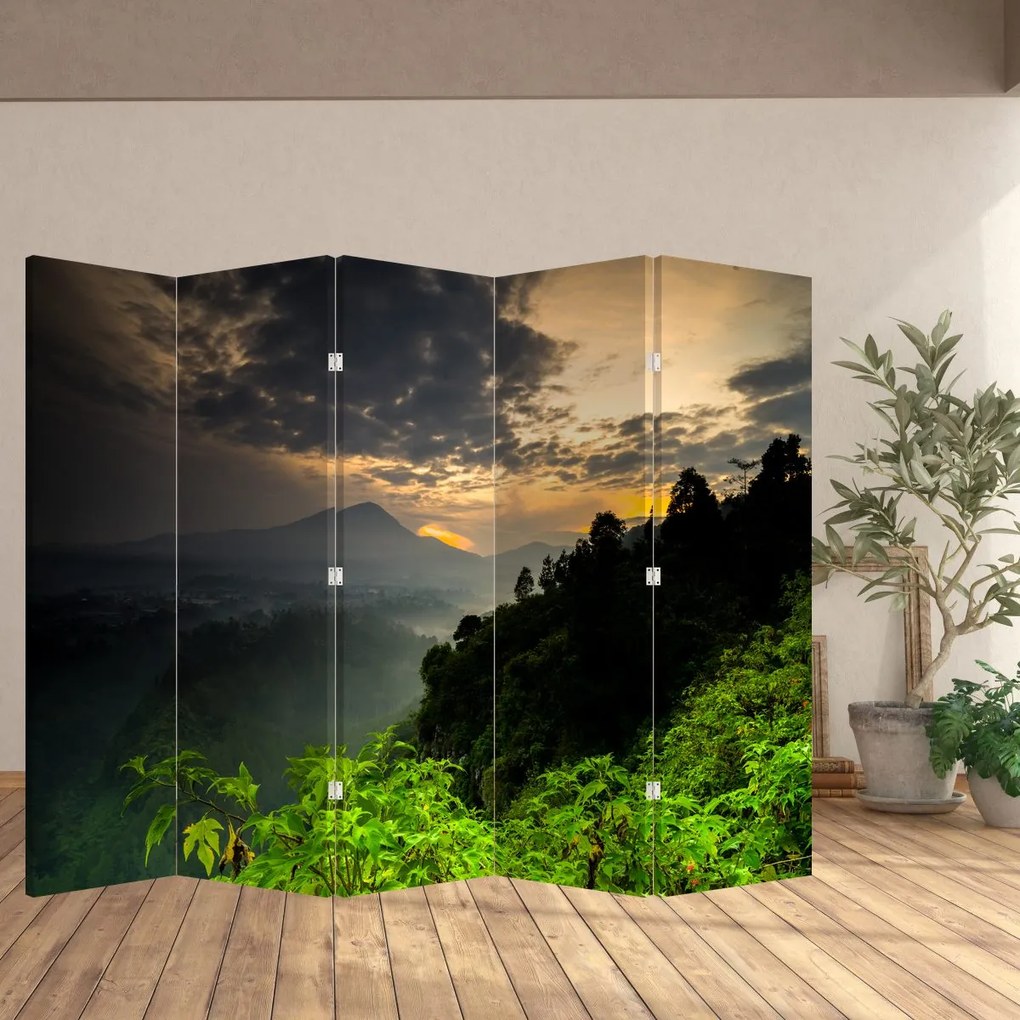 Paravan - Peisaj montan verde (210x170 cm)