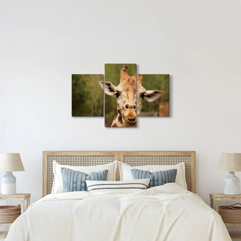 Tablou girafe (90x60 cm)