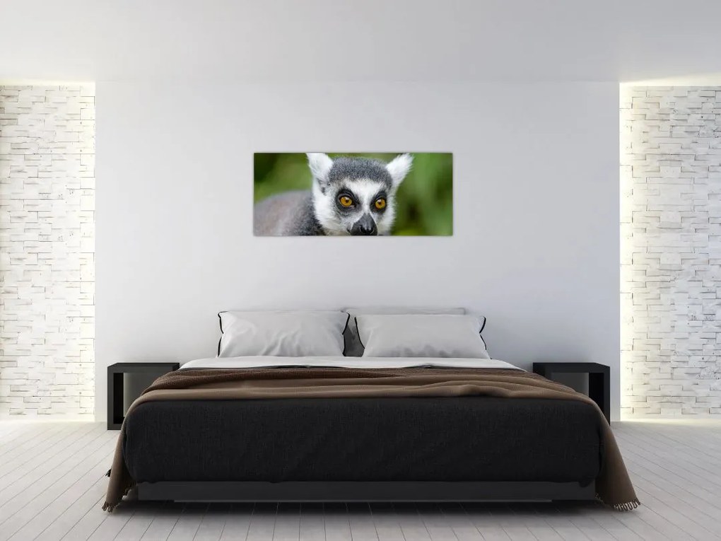 Tablou cu lemur (120x50 cm)