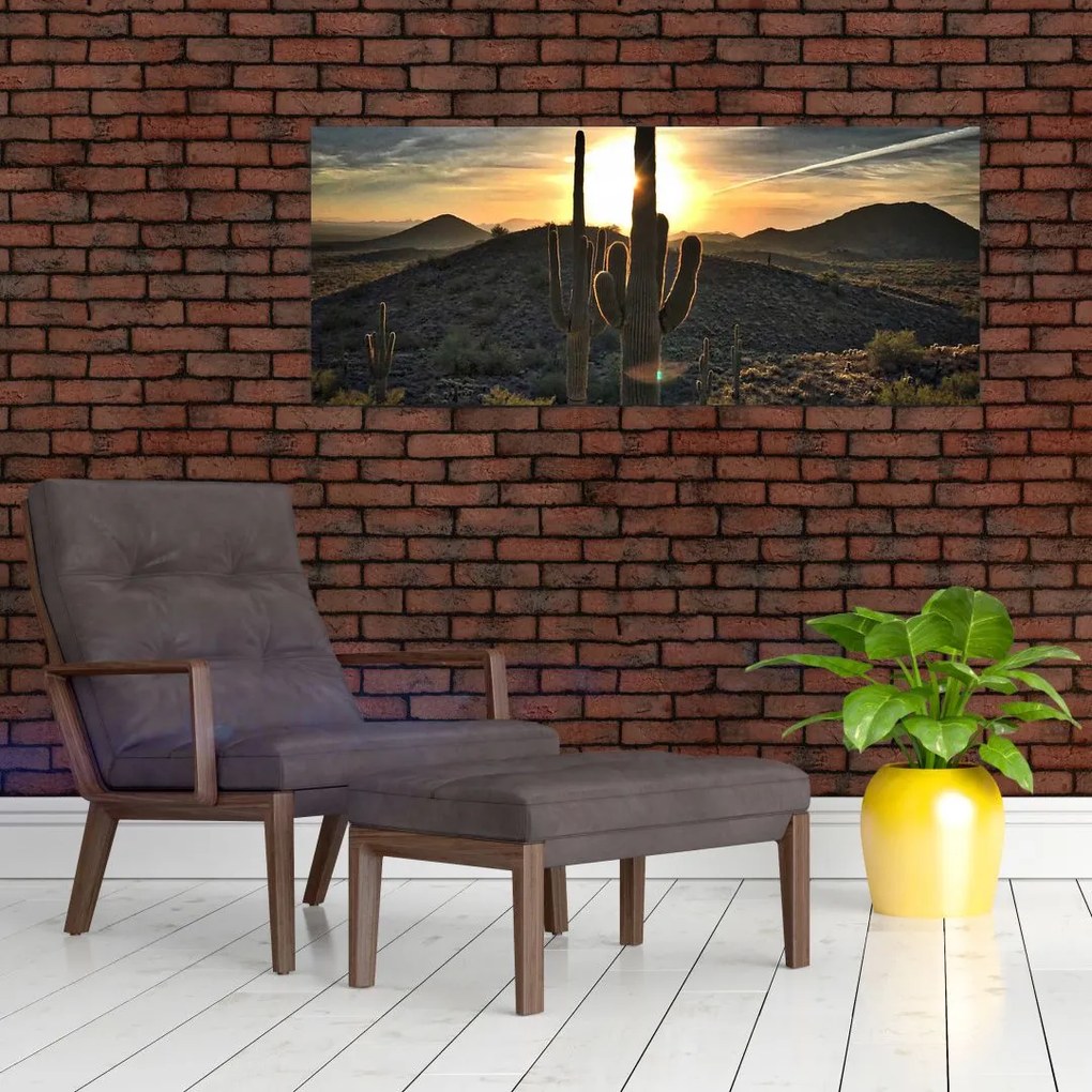 Tablou - cactușii la soare (120x50 cm)