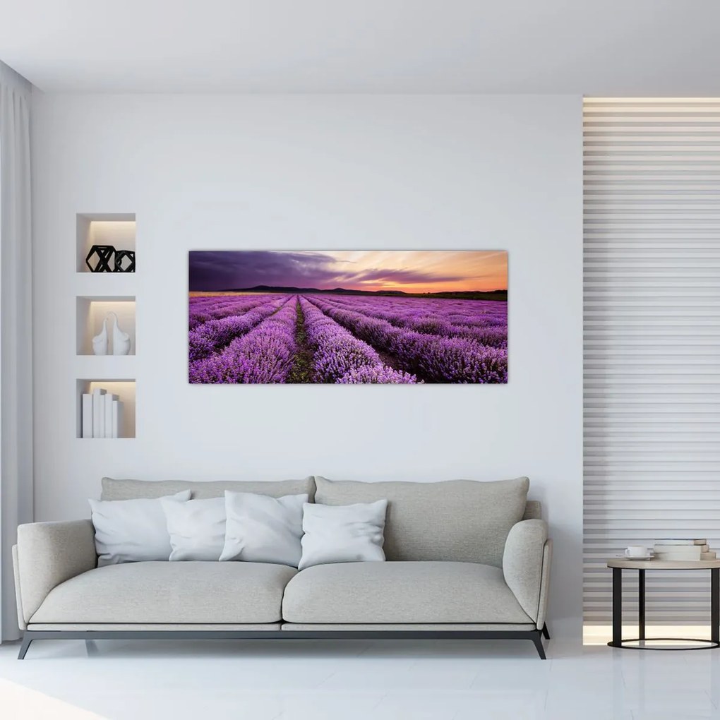 Tablou - Câmp de lavandă la apus de soare (120x50 cm)