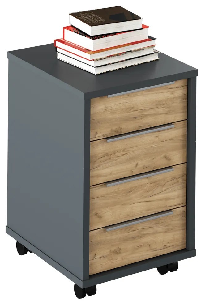 Container, grafit/stejar artisan, RIOMA NEW TYP 14