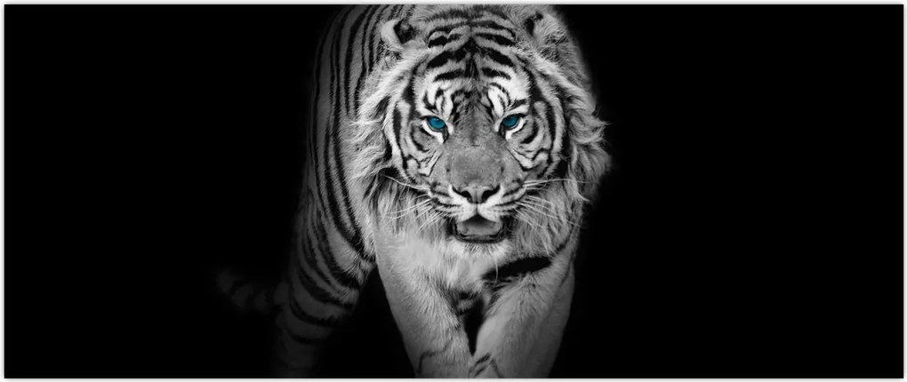 Tablou - Tigru cu ochi albaștri (120x50 cm)