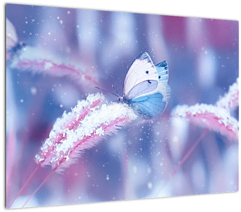 Tablou pe sticlă - Fluturi iarna (70x50 cm)