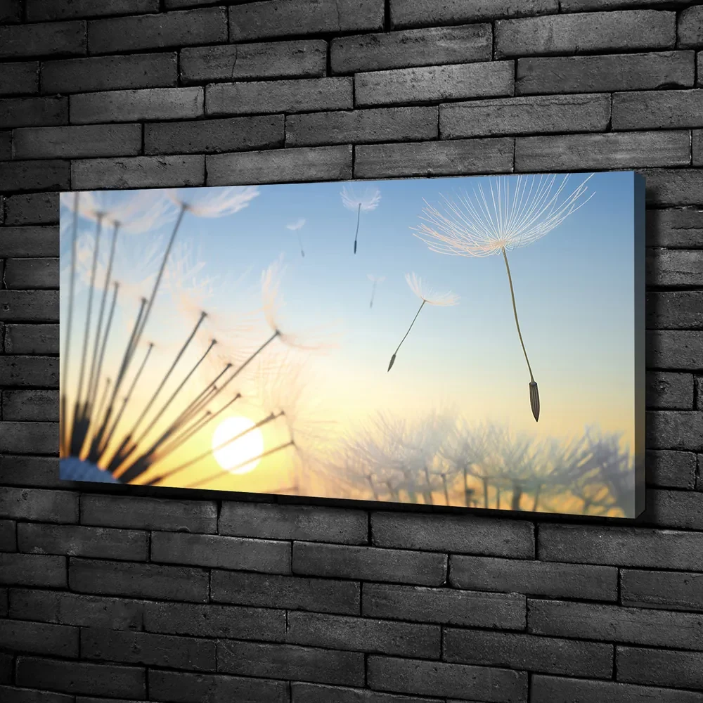Print pe canvas Semințe de papadie