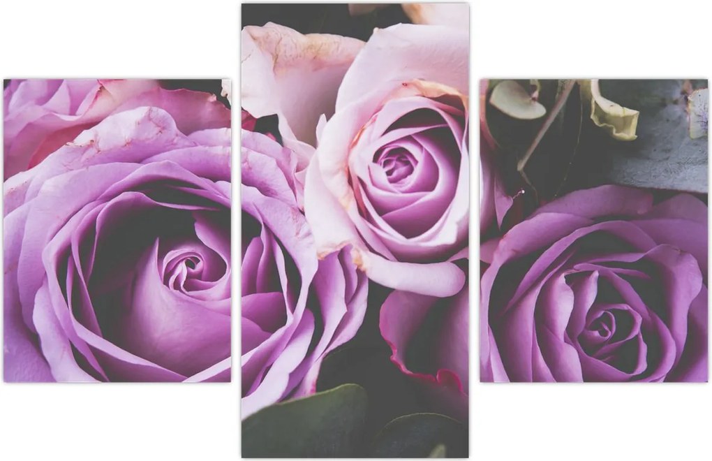 Tablou - Trandafiri (90x60 cm)