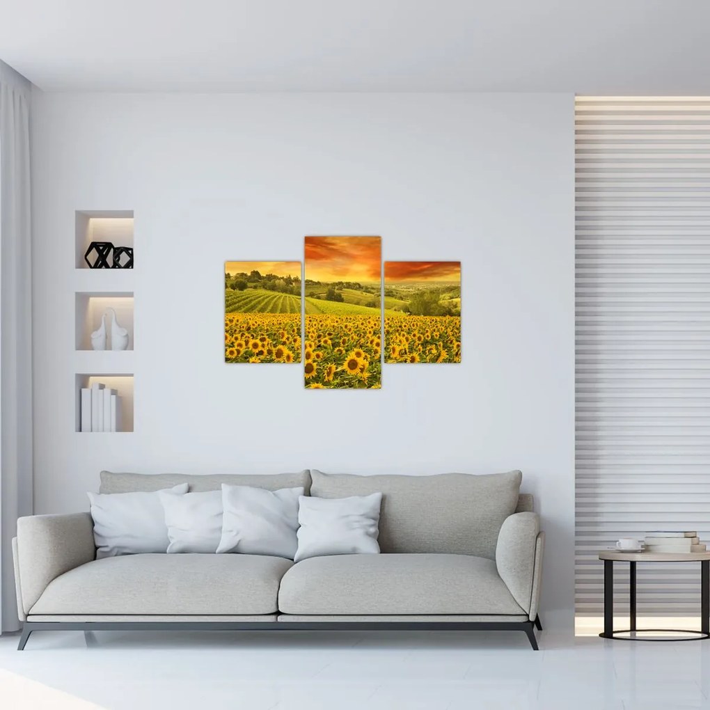 Tablou - Câmp de floarea-soarelui (90x60 cm)