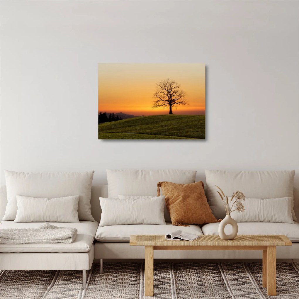 Tablou pe sticlă cu apus de soare pe o luncă (70x50 cm)