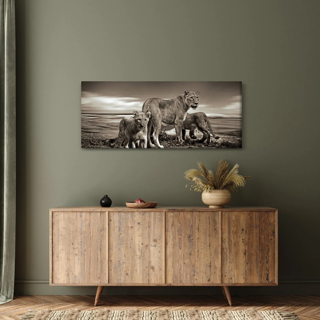 Tablou cu leii alb negri (120x50 cm)