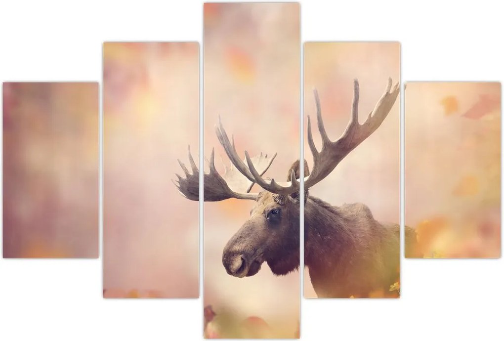 Tablou - Pădure în frunze de toamnă (150x105 cm)