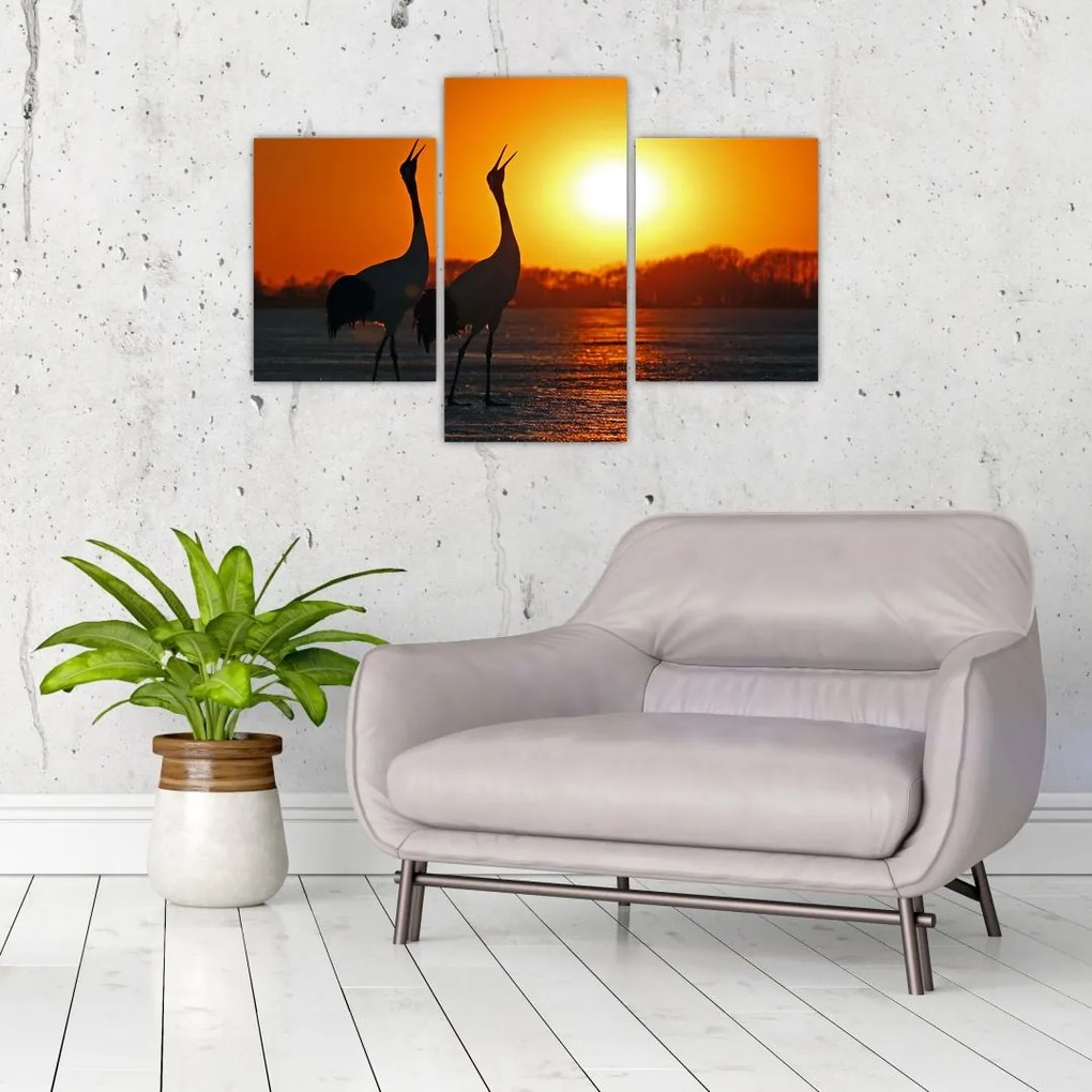 Tablou cu păsări în apus de soare (90x60 cm)
