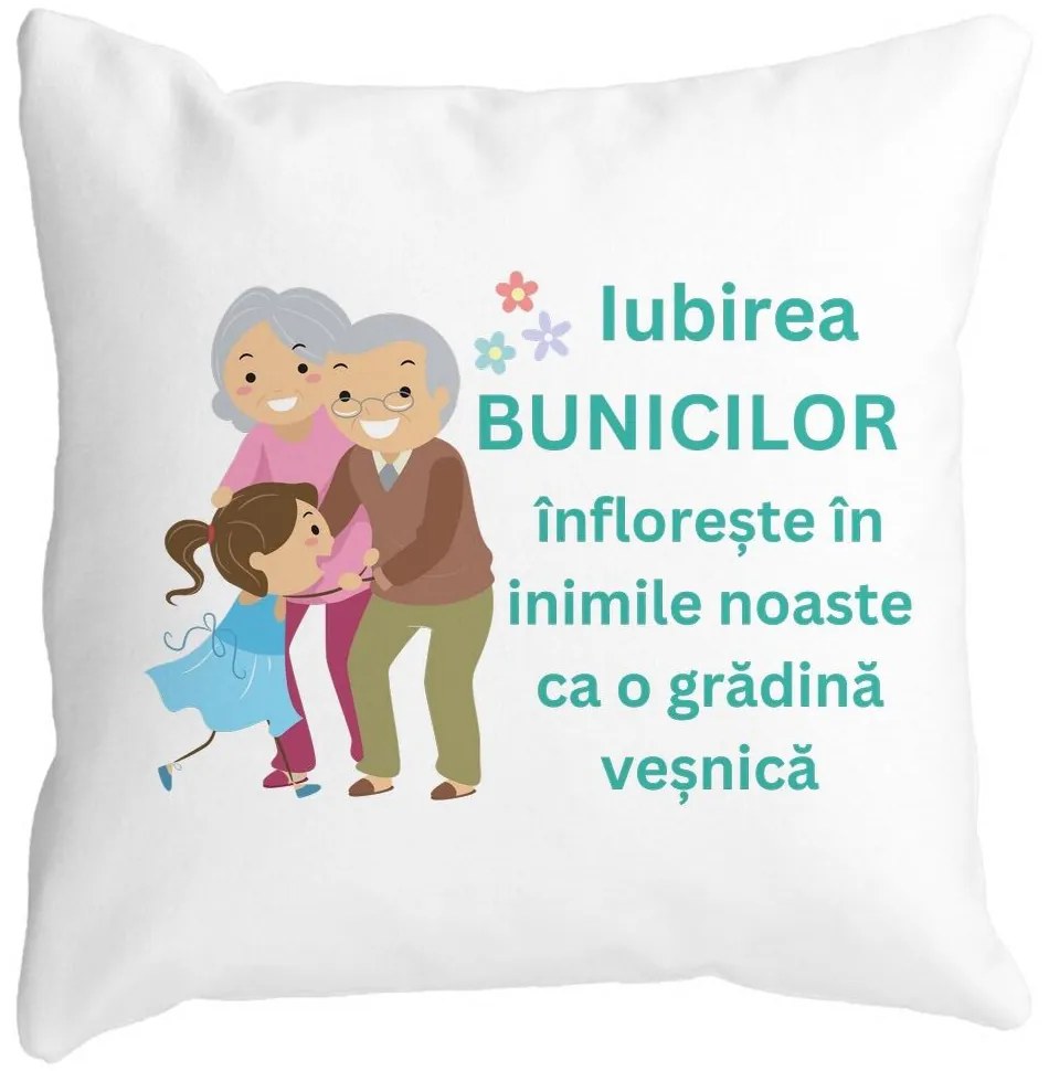 Perna Decorativa pentru Bunici 6, 40x40 cm, Alba, Mata, Husa Detasabila, Burduf