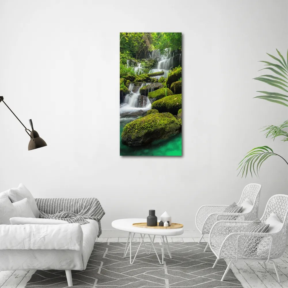 Imagine de sticlă Cascada din junglă