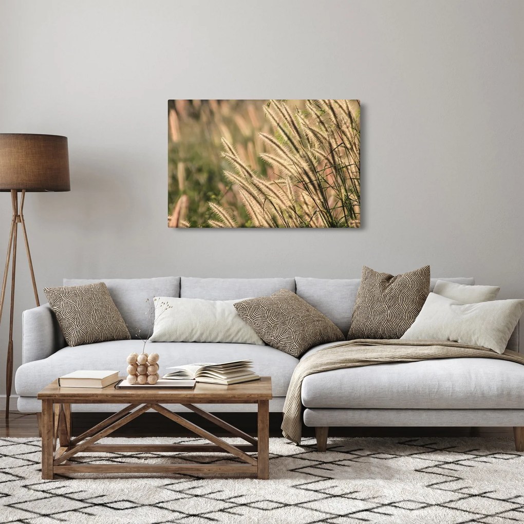 Tablou - Cereale (90x60 cm)