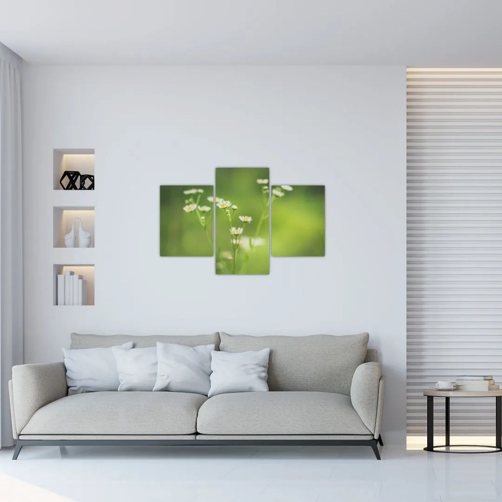 Tablou - Margarete (90x60 cm)