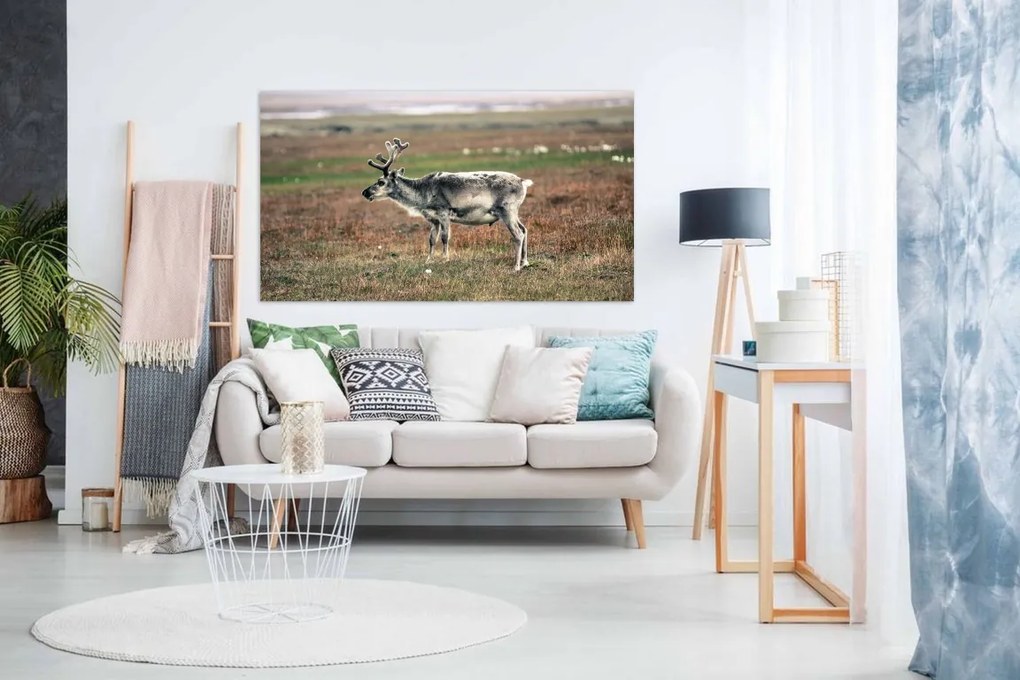 Tablou Cerb - 100x60cm